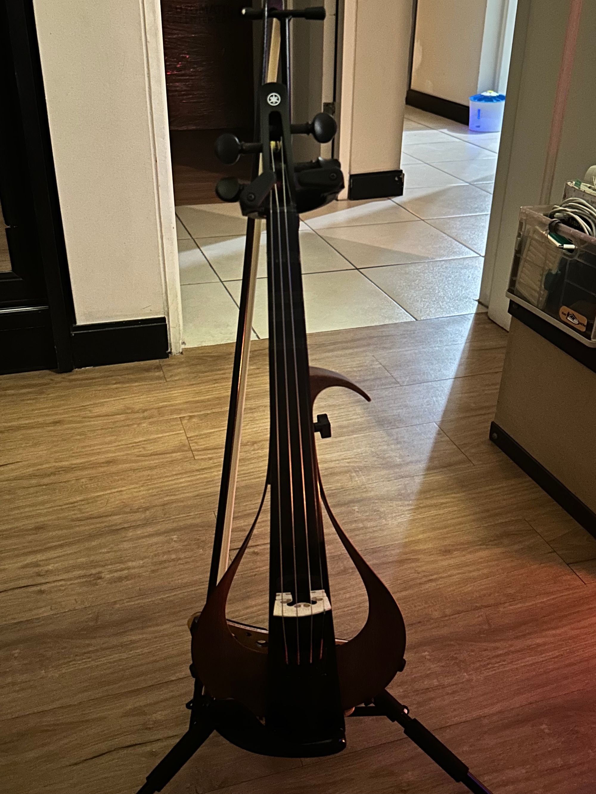 Beginner Violin practice setup
